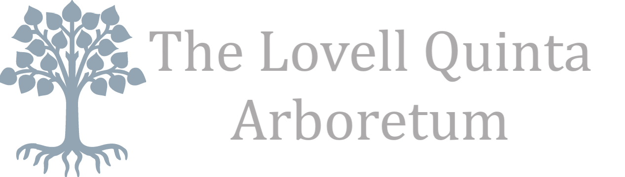 Lovell Quinta Arboretum logo